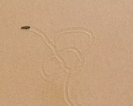 FM9A8698 Comme nous, il faut son chemin...