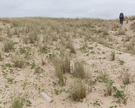 FM9A8874 Dans les dunes, il y a un peu de tout ce que la mer rejette sur le littoral