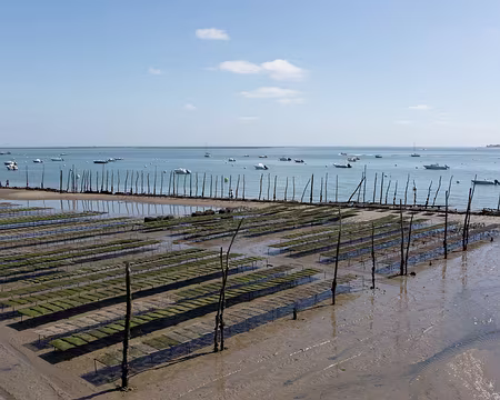 FM9A9043 Le Cap Ferret