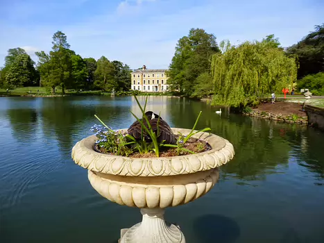 Jean-Philippe Jean-Philippe D, détail sortie