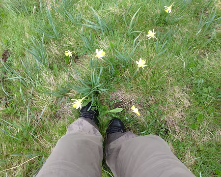 PXL028 Comment ne pas en écraser quelques unes ?