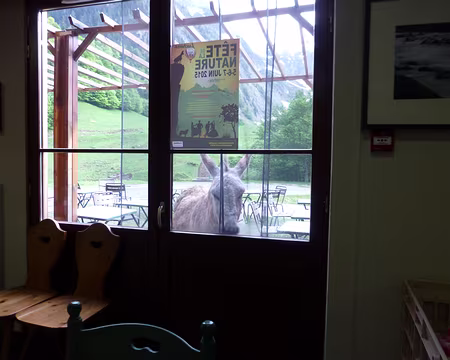 PXL032 Toc-toc-toc c'est l'heure du dîner !