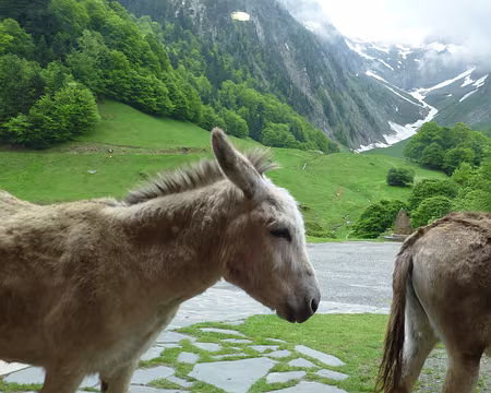 PXL035z1718 Mes cousins !