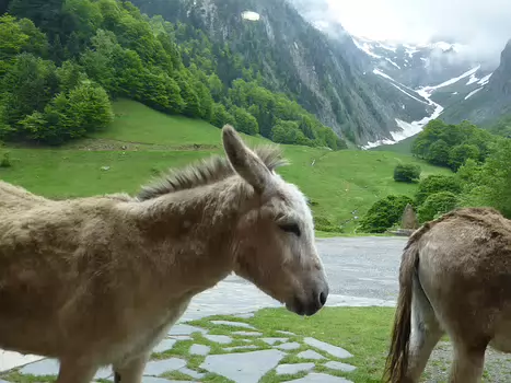 Bernadette Bernadette P, détail sortie