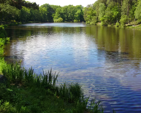 P1060168 Etang de coupe-gorge