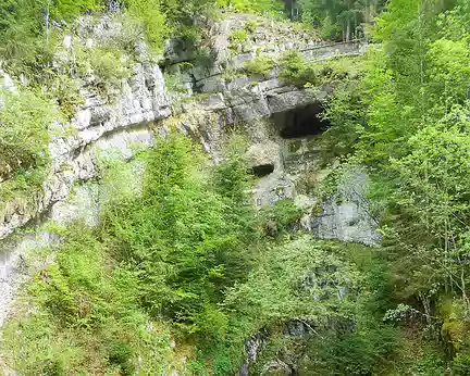 PXL011 Source du Doubs au pied de la forêt de Noirmont (944 m)