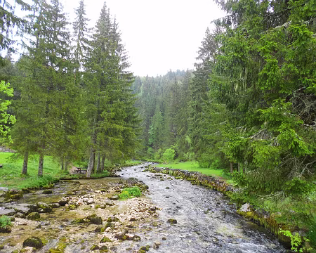 PXL018 J2 - Le Doubs