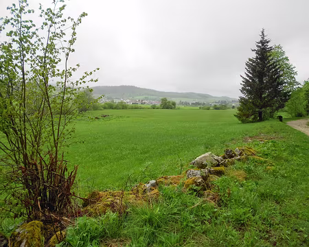 PXL019 le val de Mouthe