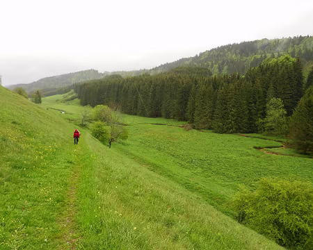 PXL020 Vallée du Cébriot (8 km), affluent du Doubs