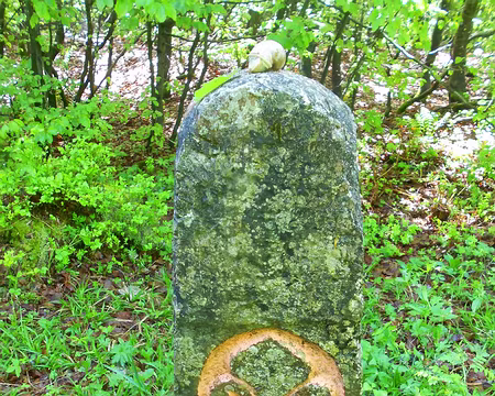 PXL039 Borne frontière, côté français (1824)