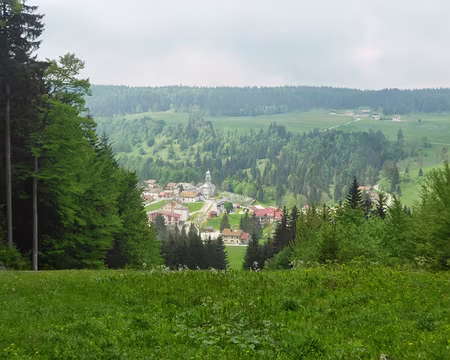 PXL047 Bellefontaine