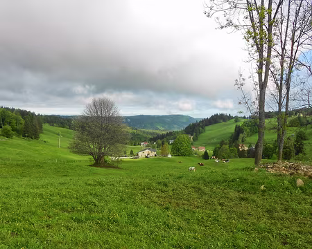 PXL059 J4 - le gîte