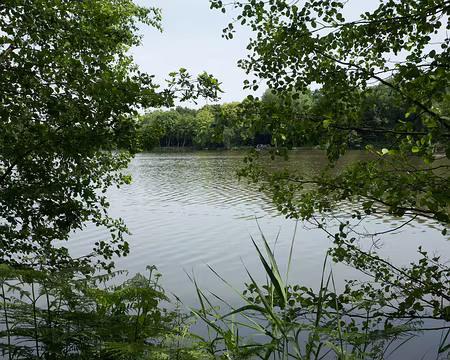 2015_06_14_15h2138 Étang des Aéroports de Paris