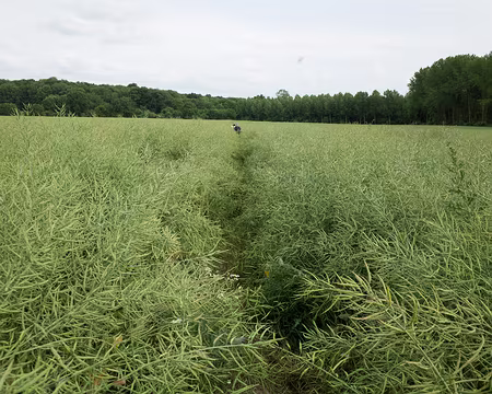 2015_06_14_18h0957 Suivez la trace !