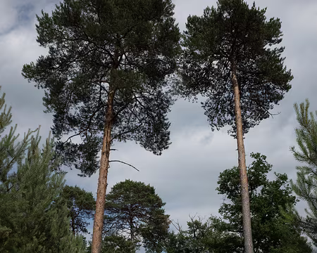 2015_06_20_16h4340 Partis de Moret...