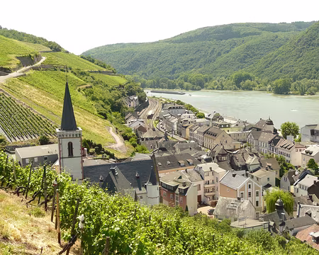 PXL042 Assmannshausen