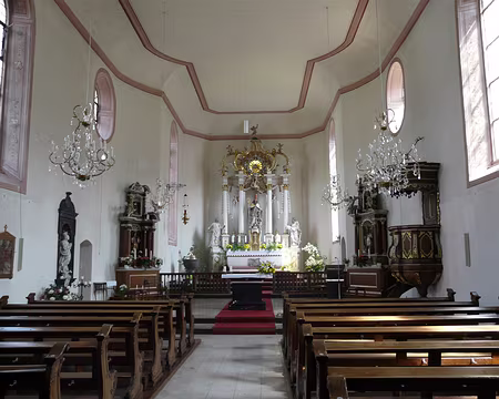 PXL177 l'églide d'Osterpai