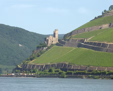 PXL019 le château Ehrenfels