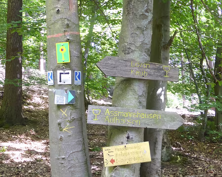 PXL033 le circuit verres