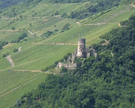 PXL046 Rhin, vignoble et château