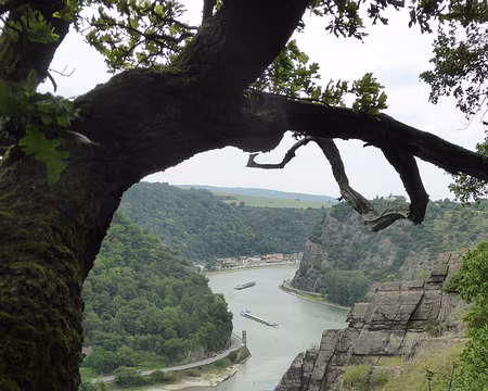 PXL085 de défilé de la Loreleï