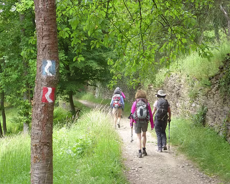 PXL089 bleu: gorges du Rhin; rouge: tour de Rhin