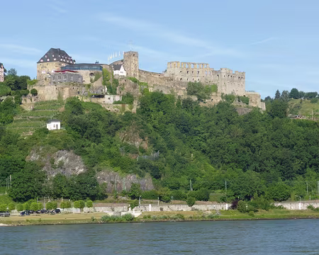 PXL098 la forteresse Rheinfels à St Goar (rive gauche)