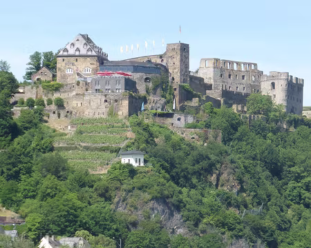PXL114 la forteresse Rheinfels