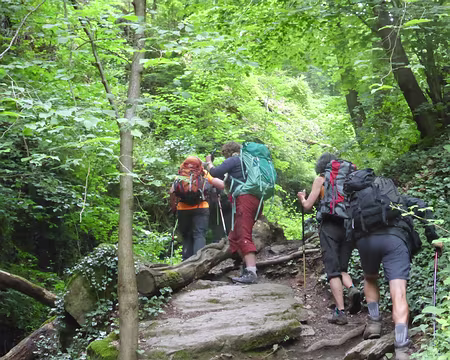 PXL144 dans la jungle rhénane