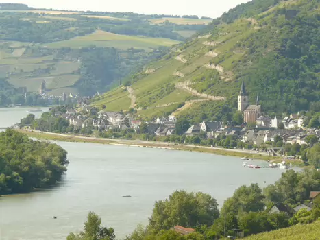 2015-06 Gorges du Rhin
