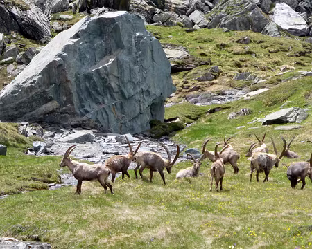 PXL009 Il y a des bêtes partout !