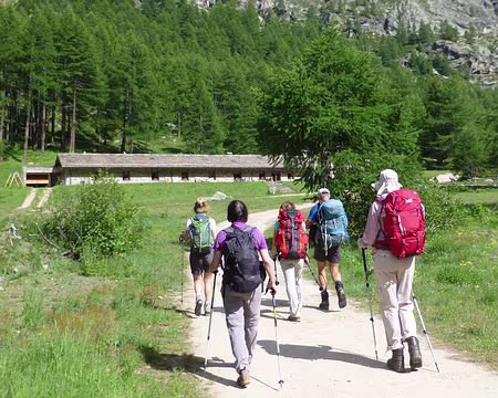 PXL018 Refuge du Tetras-Lyre pour ce soir