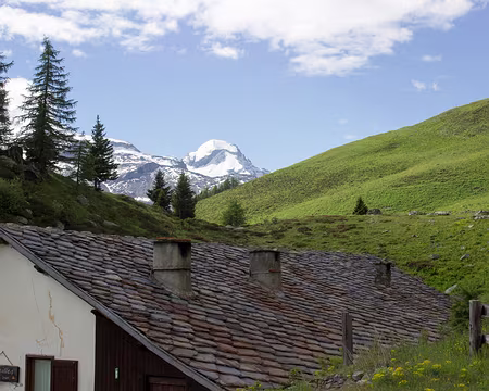 IMG_9859 ... dans l'alpage d'Orvieille