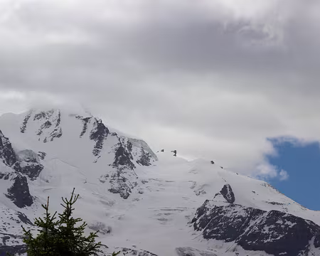 IMG_9860 Grand Paradis