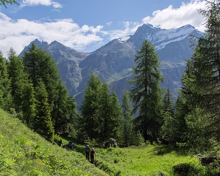 FM9A0670 Derrière nous, gauche à droite : le Grand Nomenon (3488m), le col de Belleface, la Grivola (3969m) et la Pointe Blanche (3793m)