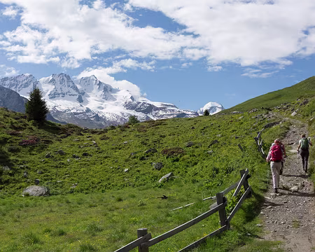 FM9A0681 De plus en plus haut, toujours face au Grand Paradis