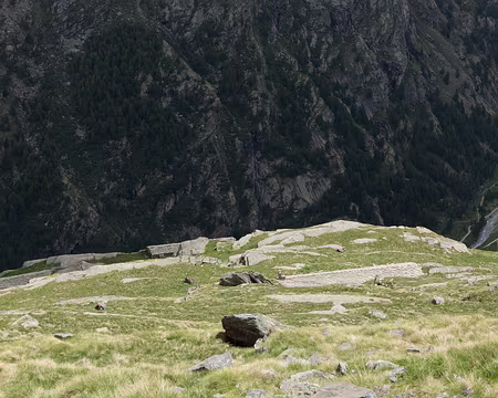 FM9A0865 ... sont tellement intégrées dans le paysage qu’elles sont presque invisibles