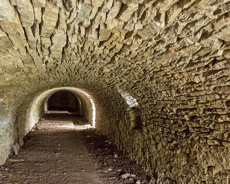 FM9A1224 Bergerie de Montandayné