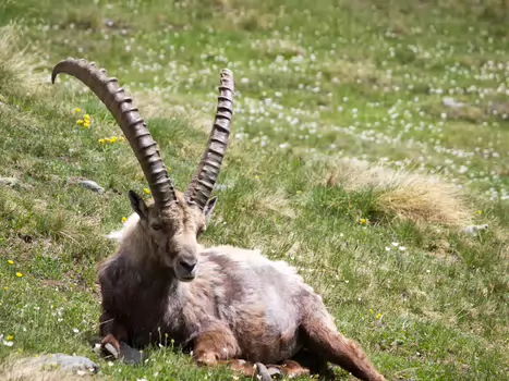 Florence Florence LP, détail sortie