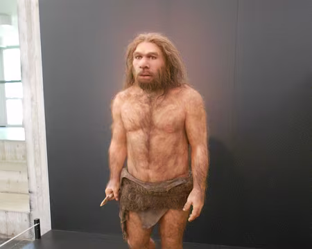 PXL022 Reconstitution de l'homme de la Chapelle-aux-Saints, 2011.