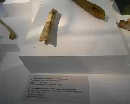 PXL023 Fragment de fémur (original) d'un homme de Neandertal.