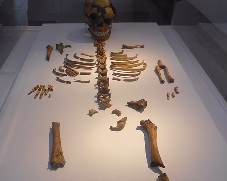 PXL025 Squelette de l'Enfant du Roc-de-Marsal (moulage), Campagne-du-Bugue (Dordogne), Vers - 70 000 ans, découvert en 1961