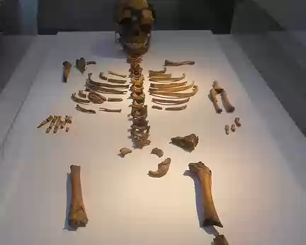 PXL025 Squelette de l'Enfant du Roc-de-Marsal (moulage), Campagne-du-Bugue (Dordogne), Vers - 70 000 ans, découvert en 1961