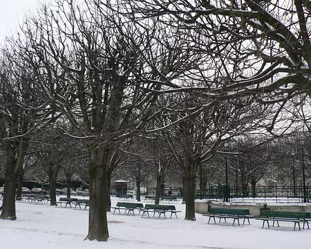 PXL018 Pique-nique au parc Monceau ( photos 06 01 2009)