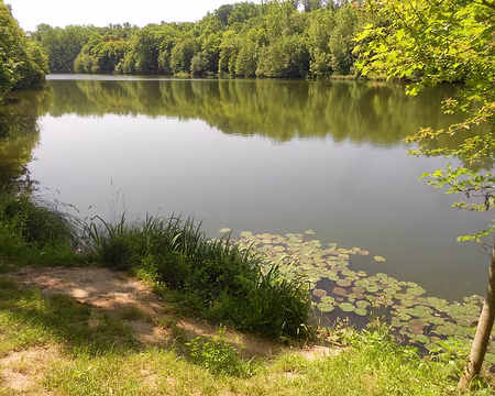 PXL002 L'étang du Val d'Or