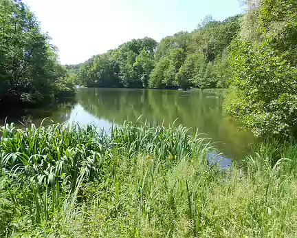 PXL003 L'étang du Moulin à renard.