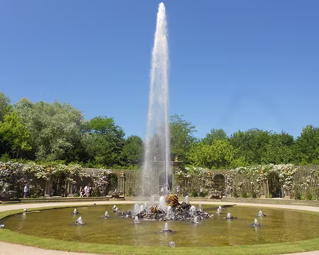 PXL020 Bosquet de l'Encelade