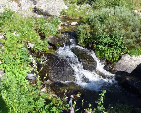 PXL009 L'eau est bienvenue avec cette chaleur