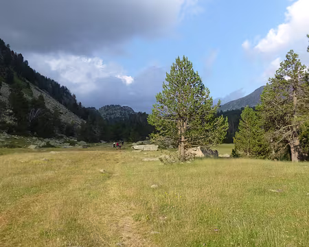 PXL069 Merveilleuse prairie