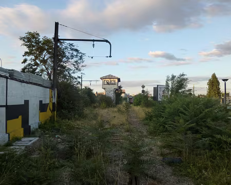 PXL021 Petite ceinture